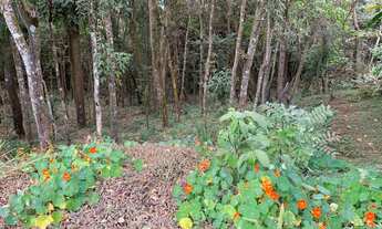 Imagem 2: Terreno Condomínio Aconchego da Serra