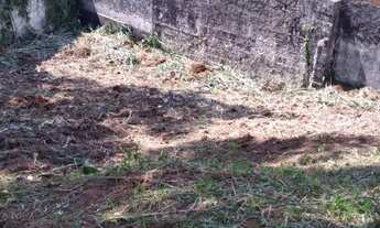 Imagem 5: Terreno para venda tem 1000 m2 Vila Sônia - São Paulo - SP