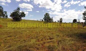 Imagem 2: Sítio 2,46 hectares, plano, energia, poço, Monte Alegre de Minas MG