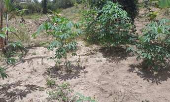 Imagem 5: Terreno grande Terreno / lote com venda por R$12.000