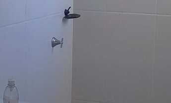 Imagem 10: AP 3 qtos 67m2 Apartamento com 3 dormitórios