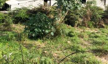 Imagem 7: Lote/Terreno para venda com 300 metros quadrados em Jardim Vassouras - Francisco Morato