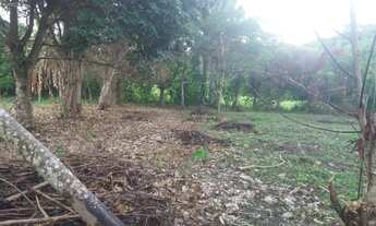 Imagem 3: Terreno em Ponta de Areia. Aceito troca em moto de menor valor