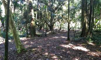 Imagem 3: Chácara-à-Venda-em-São-João-da-Graciosa-Morretes-PR