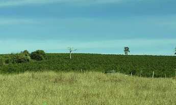 Imagem 5: Fazenda/sítios/chácaras com 1 dormitório à venda em Nepomuceno