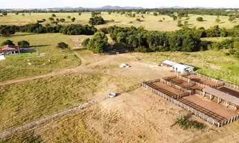 Imagem 3: Fazenda Dupla Aptidão em Araguapaz - Go