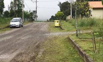 Imagem 4: Gramado - Terreno Padrão - Carazal