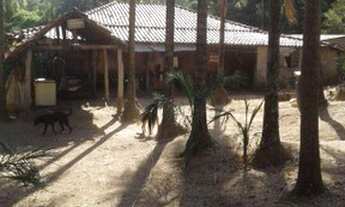 Imagem 3: Fazenda Serra de São vicente - Venda 91 km de Cuiabá