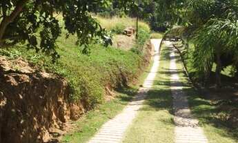 Imagem 4: Linda área verde