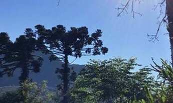 Imagem 6: Área agrícola em Cerro Branco RS Fazenda