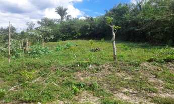 Imagem 3: Terreno 15x30 Terreno / lote com venda por R$23.000