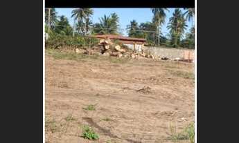 Imagem 3: Terreno bom para condomínio já murado