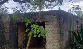 Imagem 6: Lote Mateus Leme