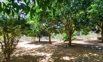 Imagem 7: Chácara JD. Morumbi - Planaltina DF VD/Troco