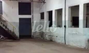 Imagem 1: São Paulo - Galpão/Depósito/Armazém - Água Rasa