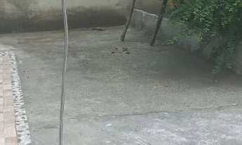 Imagem 7: Casa com amplo quintal