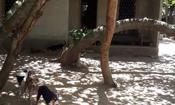 Imagem 2: Chácara Chácara com venda por R$180.000