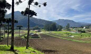 Imagem 2: TERRENO NO CAMINHO PARA O MORRO DA IGREJA IDEAL PARA INVESTIMENTO!