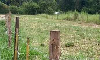 Imagem 2: Terreno em pinheiral