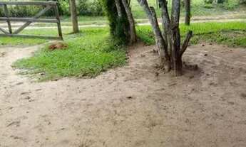 Imagem 7: NO CENTRINHO DE ÁGUAS CLARAS!!! Casa de alvenaria as margens da RS040