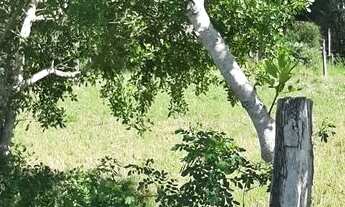 Imagem 4: Terreno na Quixaba - Campos dos Goytacazes