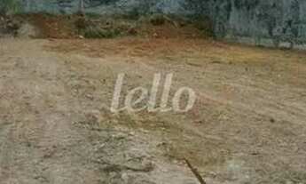 Imagem 2: São Paulo - Terreno Padrão - Ipiranga