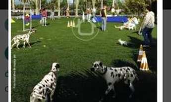 Imagem 3: Terreno 250m2 Villagio Sta Inês