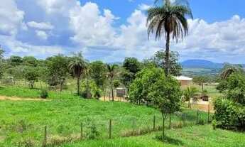 Imagem 4: VENDO SITIO 2000M² BATATAL IGARAPÉ/TROCO POR CASA