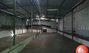 Imagem 6: São Paulo - Prédio Inteiro - Tatuapé