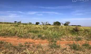 Imagem 2: Área de 13,5 Alqueires a venda por R$6.000.000