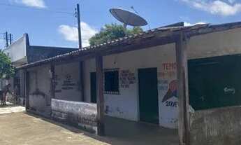 Imagem: Casa no jardim primavera