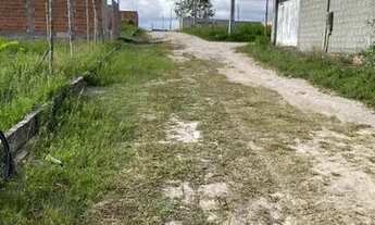 Imagem 5: Terreno plano 8x20