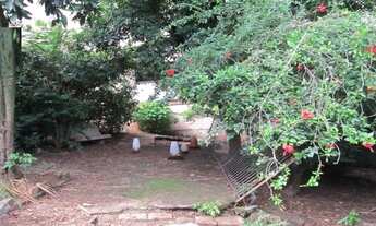 Imagem 7: Casa com 3 dormitórios e 1640m2 de terreno e 320 m² à venda, por R$ 2.550.000 - Paulista