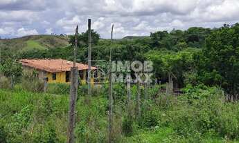Imagem: Chácara a venda 35 hectares - Formada