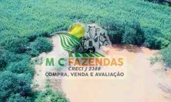 Imagem 2: Fazenda c/ 295 Tarefas à Venda em Jeremoabo - BA