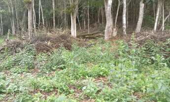 Imagem 3: Oportunidade 3 mil mts 57 mil reais