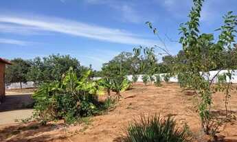 Imagem 4: Chácara Mirabela 2500 m2