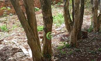 Imagem: Terreno à venda, 600 m² por R$ 860.000,00