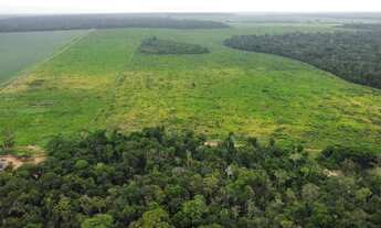 Imagem 3: Fazenda 1.024 hec em nova motum MT. 200hec abertos pega imóveis 30 milhões