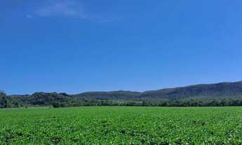 Imagem 5: Oportunidade! Vende-se uma excelente fazenda de 68.8 hectares