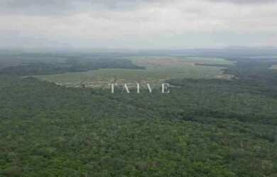 Imagem 4: Fazenda 3000 hectares à venda , área plana, casa sede, barracão, poço artesiano, internet