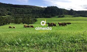 Imagem 3: ÁREA RURAL 580HA EM SANTANA DA BOA VISTA