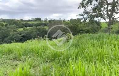 Imagem 2: Fazenda a 5 km de Ivolândia-GO 23 Alqueires prontos para produçã codigo: 133774