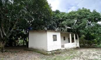 Imagem 2: Chácara a venda 5.800 m2 / Árvores frutiferas e agua