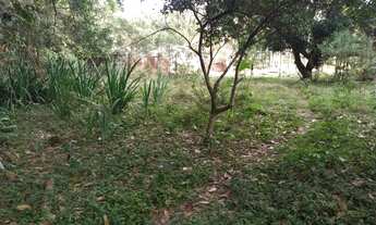 Imagem 7: Chácara com Riacho