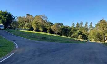 Imagem 6: Terreno à venda, 1.060 m2 por R 559.000,00 - Rondinha - Campo Largo PR