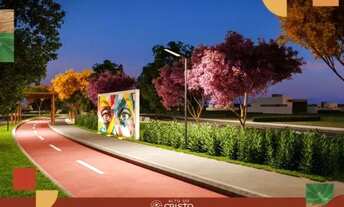 Imagem 7: Lotes no Alto do Cristo Pilar/AL