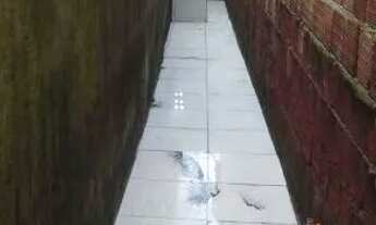 Imagem 5: Casa em jaboatão