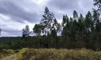 Imagem 3: TERRENOS EM COTIA COM VISTA PRIVILEGIADA!