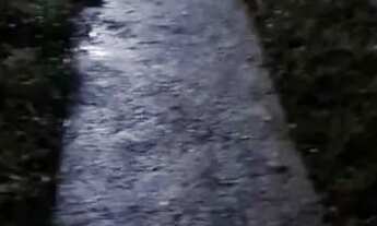 Imagem 4: Casa com 3 Quarto(s) e 1 banheiro(s) para Alugar, 120 m² por R$ 2760 / Mês